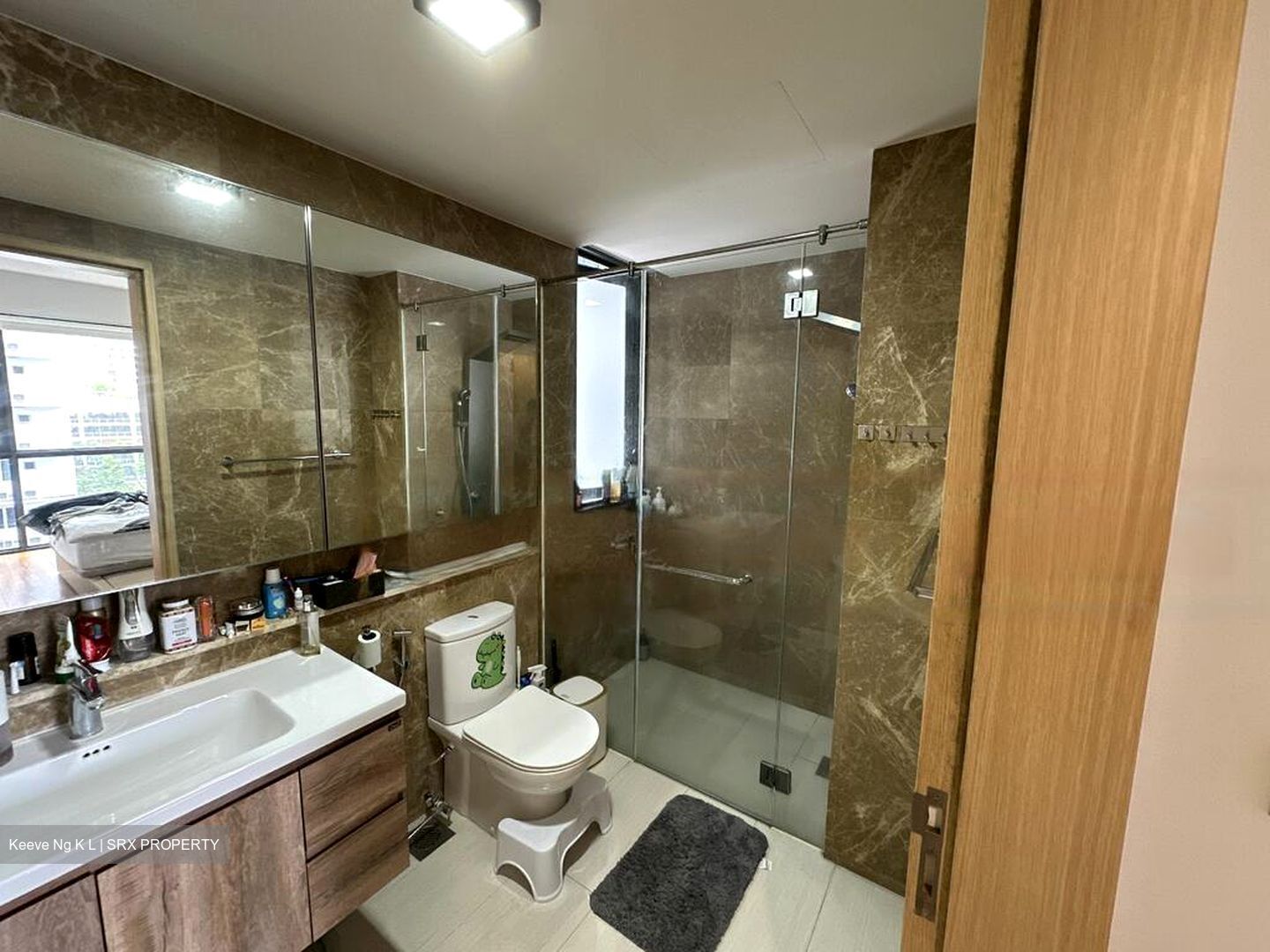 Boathouse Residences (D19), Condominium #474916581